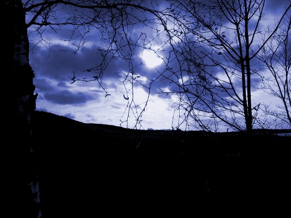 Free_Fall