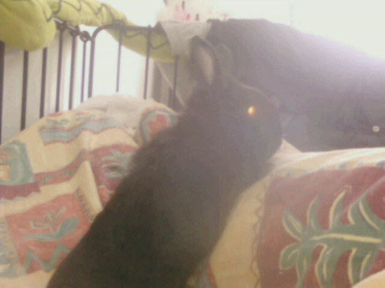 EmelieEme