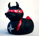 Ninja 