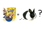 Vi som äter nesquick till frukost!
