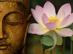 Medial/Spirituell Gemenskap