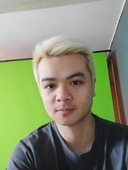 IceWingsWolf