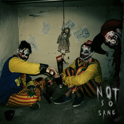notsosane