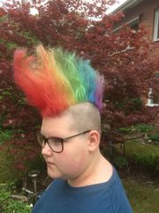 Fluffbollzen