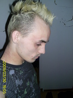 Apevi